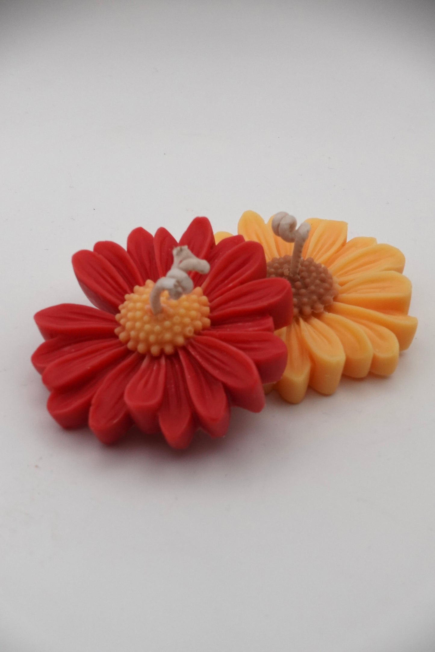 Blume