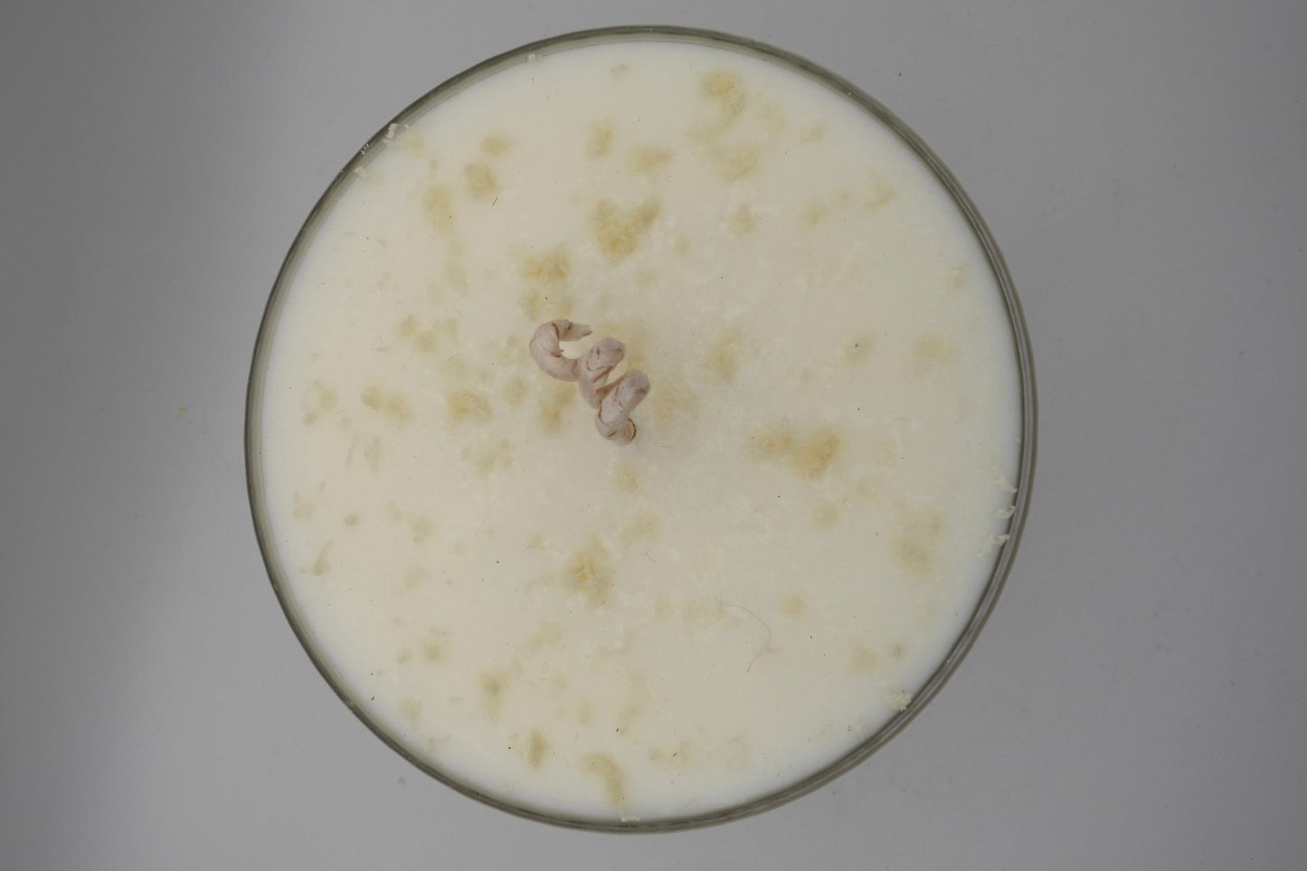 Martini Kerze